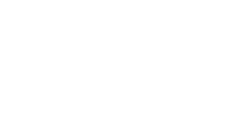 Dream Mission Global